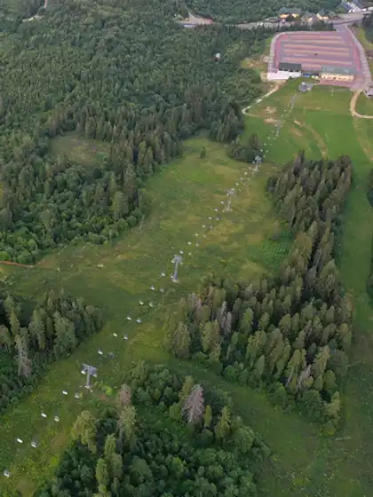 Demirtaş Orman Evleri